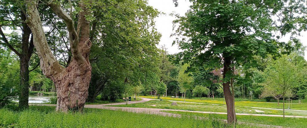 Rosenlabyrinth Hildesheim